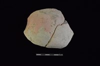 陶片藏品圖，第1張